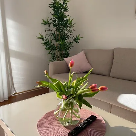 Bella Veruda In פולה